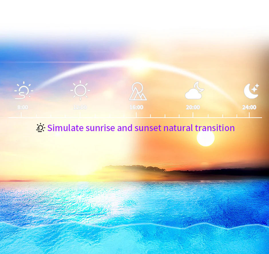 Seatorch Ligh Master 30pro